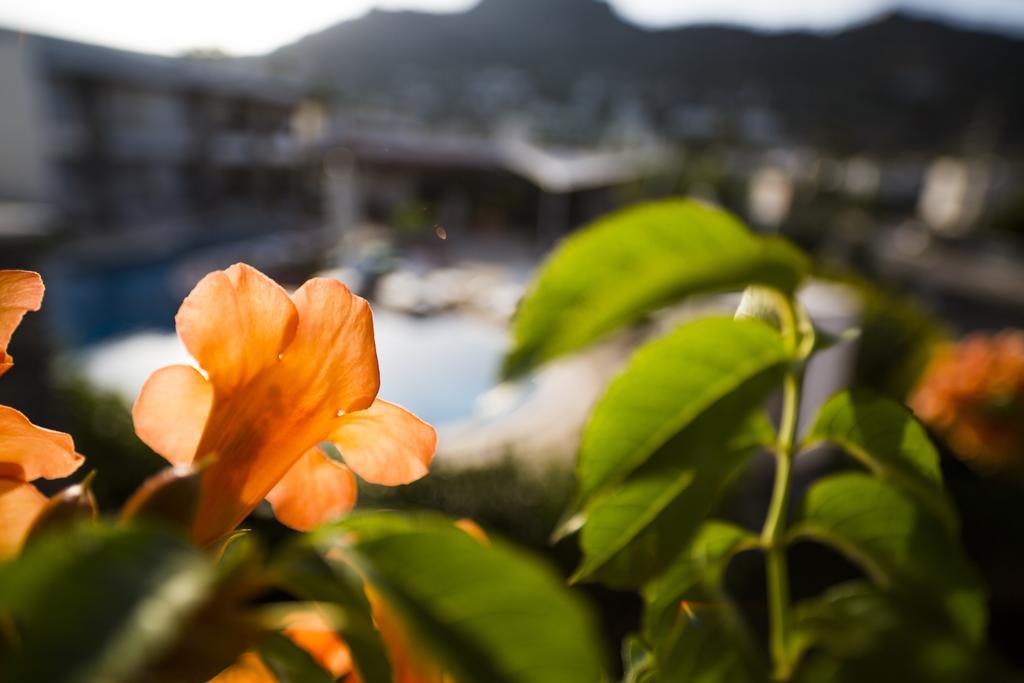 Genc Hotel Bodrum Ngoại thất bức ảnh